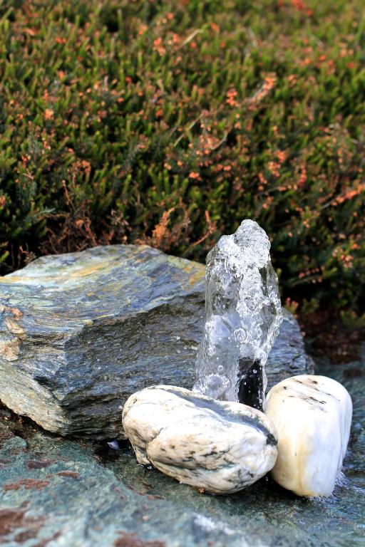 The Shan's Lodge - Resim 17