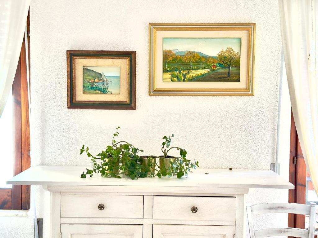 Zdjęcie z galerii obiektu B&B Selvaggio Blu w mieście Baunei