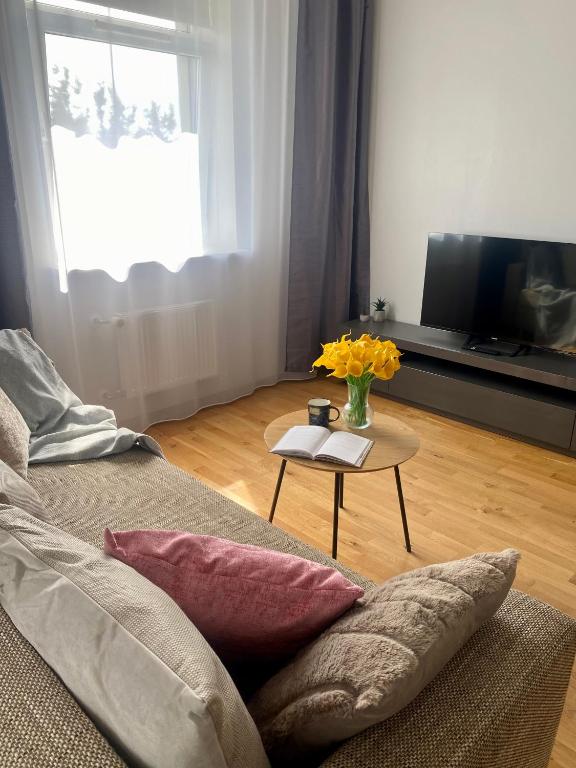 TV a/nebo společenská místnost v ubytování Victoria apartment