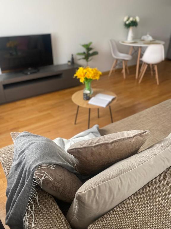 TV a/nebo společenská místnost v ubytování Victoria apartment