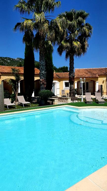 une grande piscine bleue bordée de palmiers dans l'établissement Lou Pic au Loup Gîtes de charme, à Cazevieille