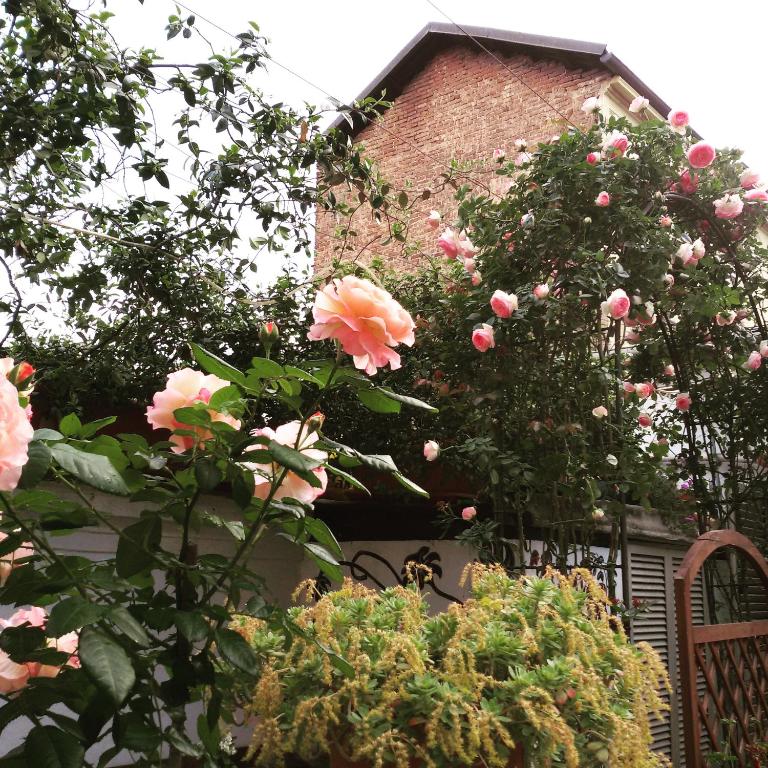 Albergo Avalon - Resim 38