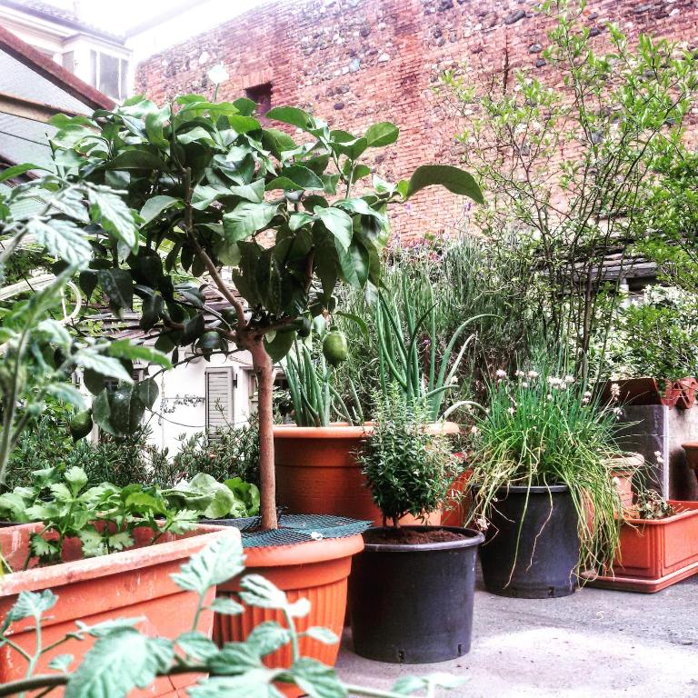 Albergo Avalon - Resim 39