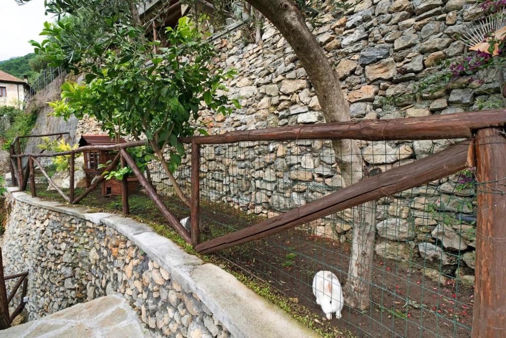 Fotografie z fotogalerie ubytování Agriturismo U'Spigu Nonna Annetta v destinaci Nasino