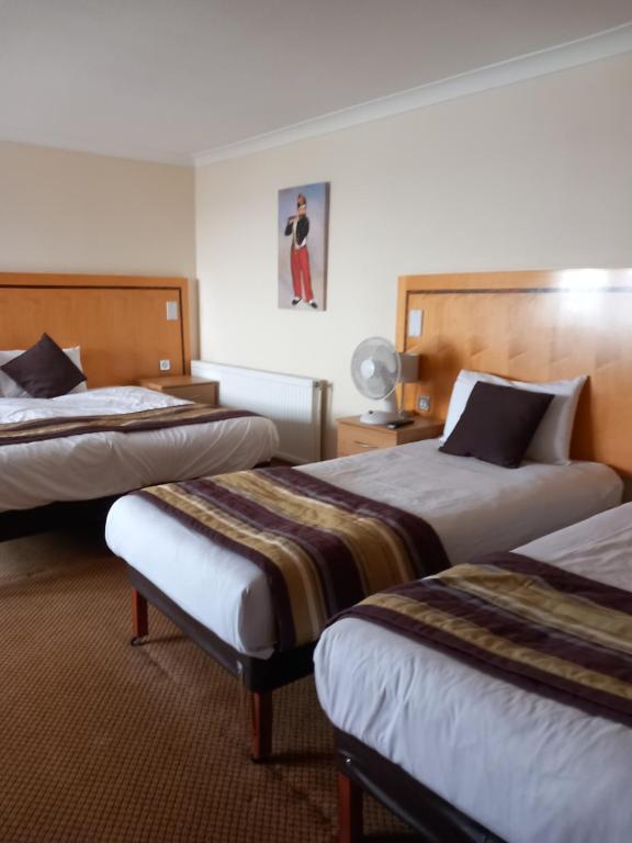 Royal Hotel - Resim 19