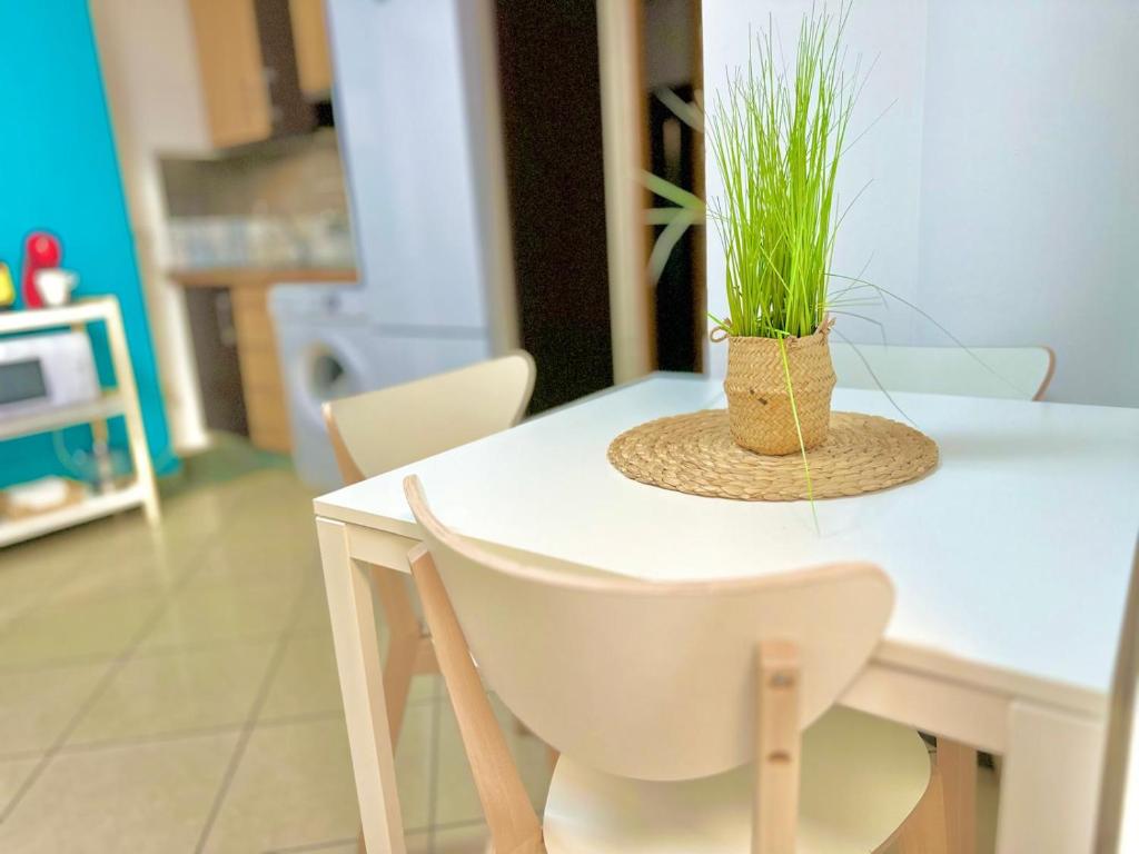 Conjunto Playa del Palo - 11