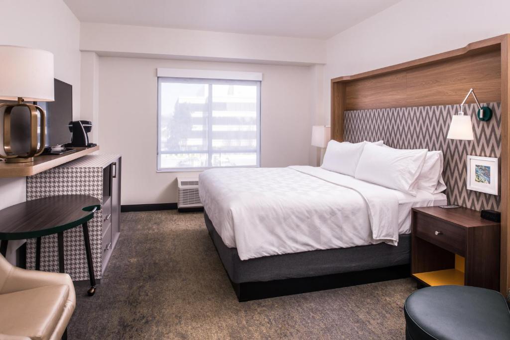 Holiday Inn Detroit Northwest - Livonia, an IHG Hotel - 标准的国王室，可访问式淋浴