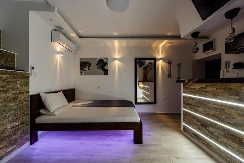 Voodi või voodid majutusasutuse Lisa Zemun Spa Apartment toas