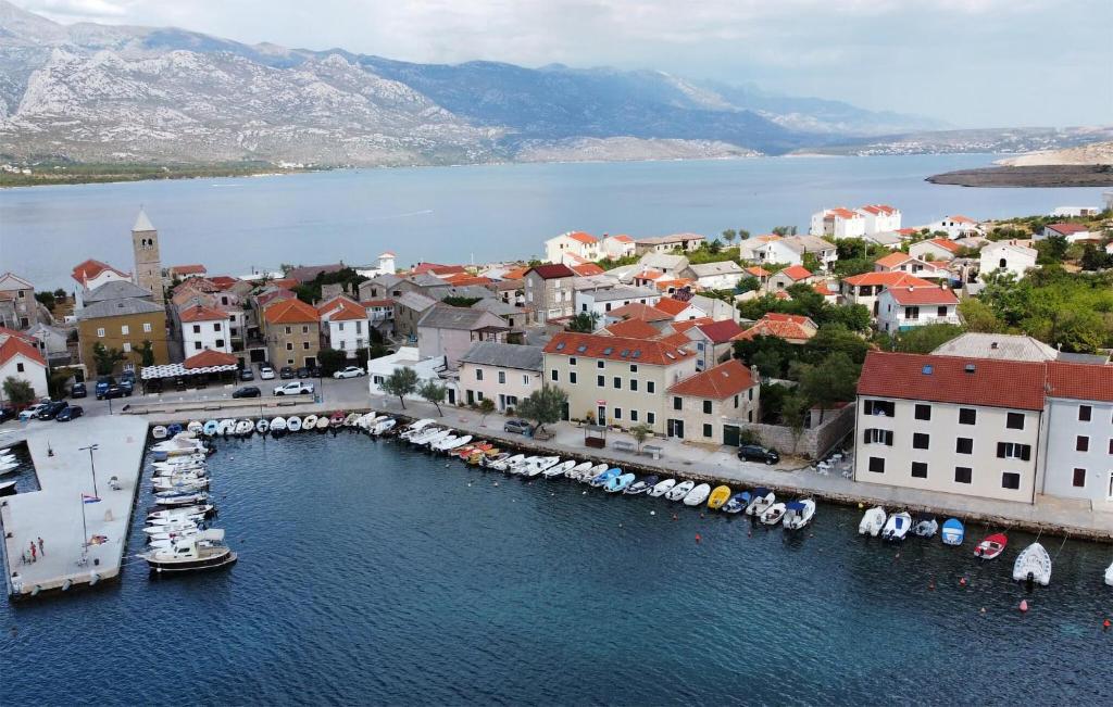 Naturlandskabet i nærheden af lejligheden