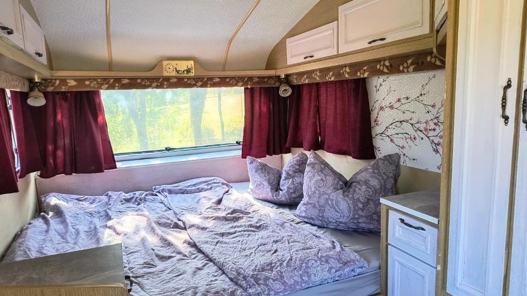 Et opholdsområde på Camping Poiana Stelelor
