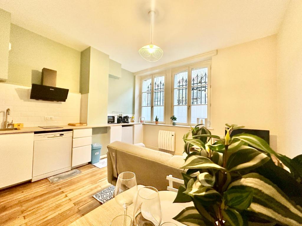 un salon avec un canapé et une table avec une plante dans l'établissement Le Général, optimal et central, à Limoges