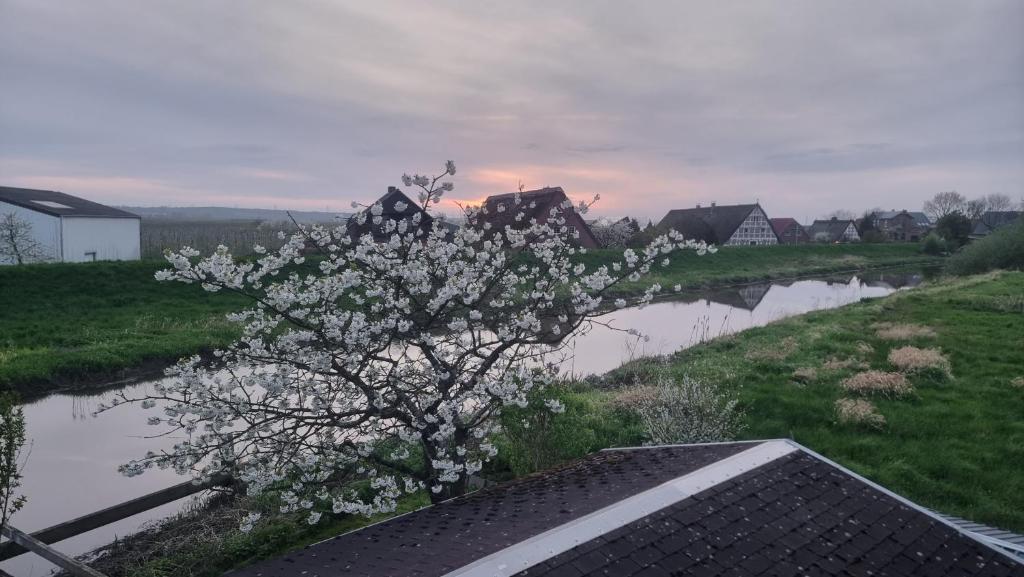 a tree with white flowers next to a river at Lühe Loft - direkt am Wasser im Alten Land in Mittelnkirchen