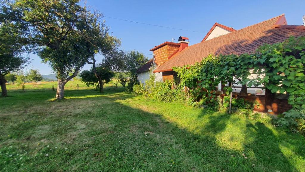 Vonkajšia záhrada v ubytovaní Apartmani Fenestra -Zagorka