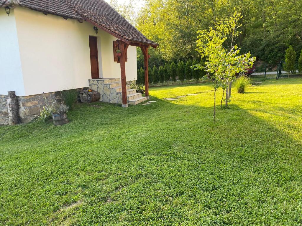 Aed väljaspool majutusasutust Rudnički Eko Breg