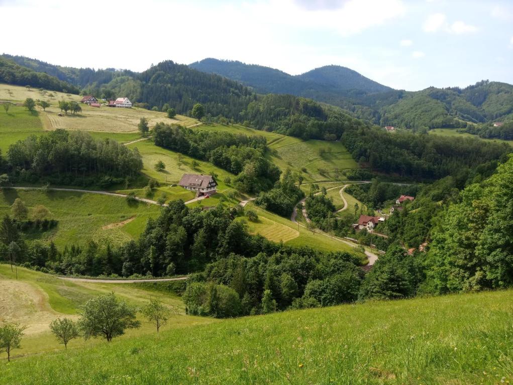 Příroda nedaleko apartmánu