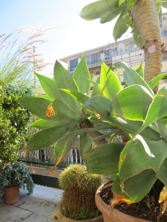 Ariston Petit Hotel - Resim 36