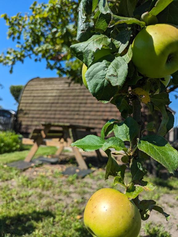 Fotografie z fotogalerie ubytování Swifterlodge v destinaci Kerkenveld