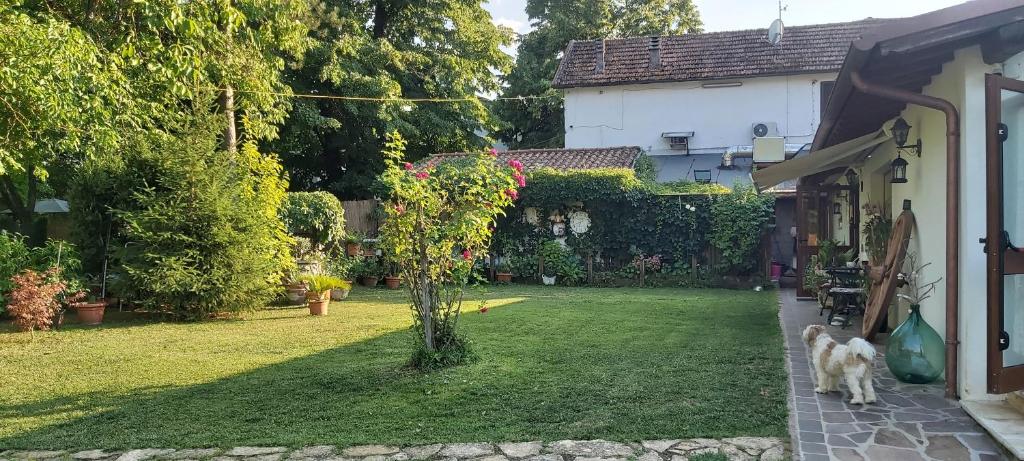 a dog standing in a yard next to a house at Guest House La Palazzina in Rieti