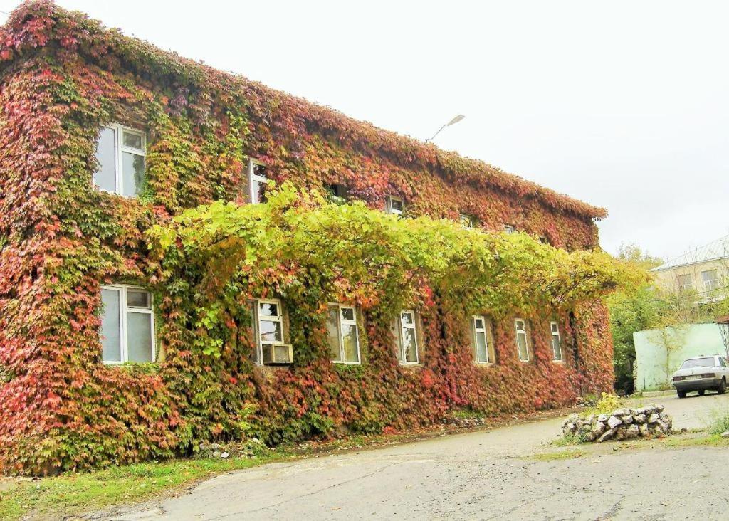 Zahrada ubytování Hotel Lilo near Airport