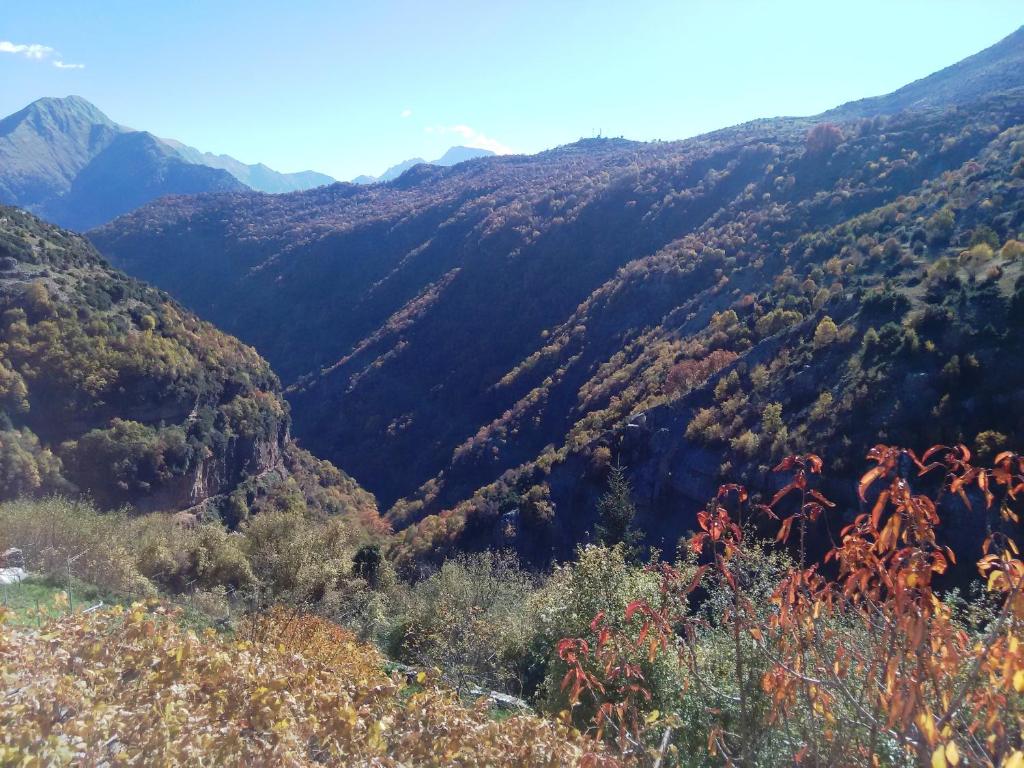 Príroda v okolí penziónu