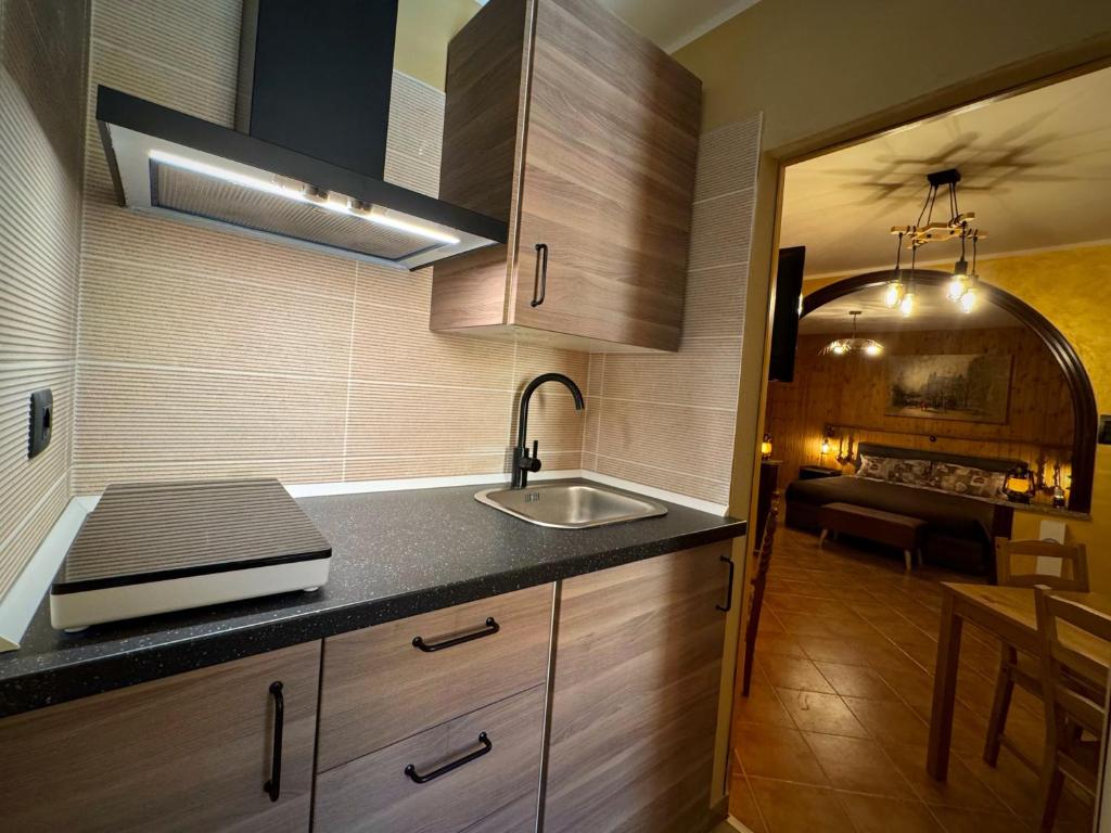Kuchyň nebo kuchyňský kout v ubytování Sunrise Inn & Spa