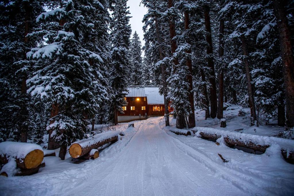 a snow covered road in front of a building at Cabin on the Edge of Forever in Brighton