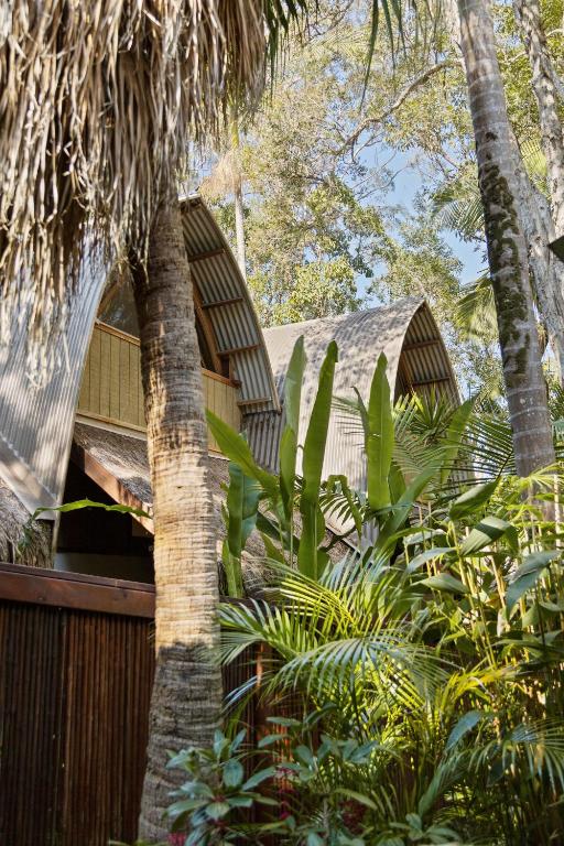 a house with a palm tree in front of it at Garden Burees in Byron Bay