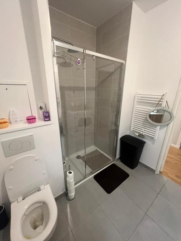 une salle de bain avec douche et toilettes dans l'établissement Appartement T3 Haut de standing paris, à Clichy