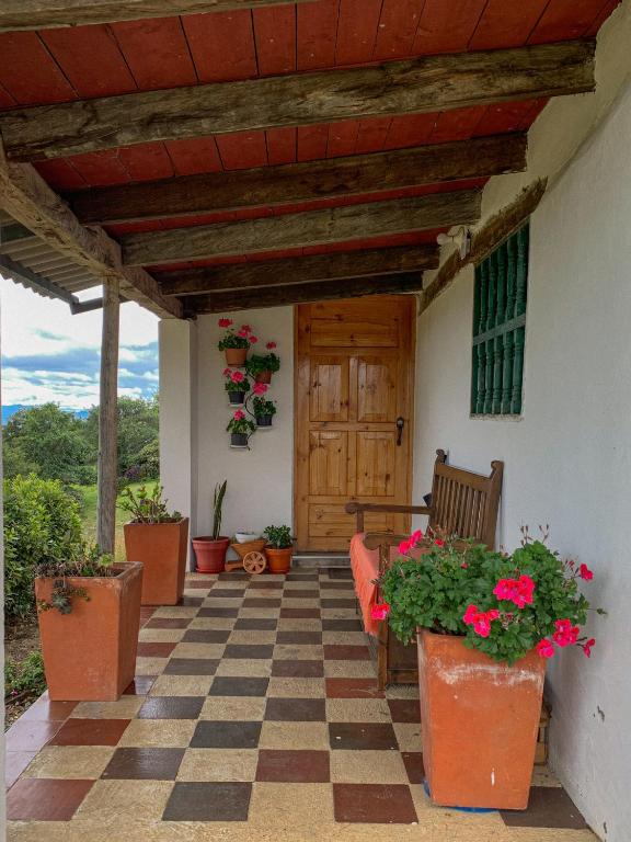 Zahrada ubytování Casa Laurel