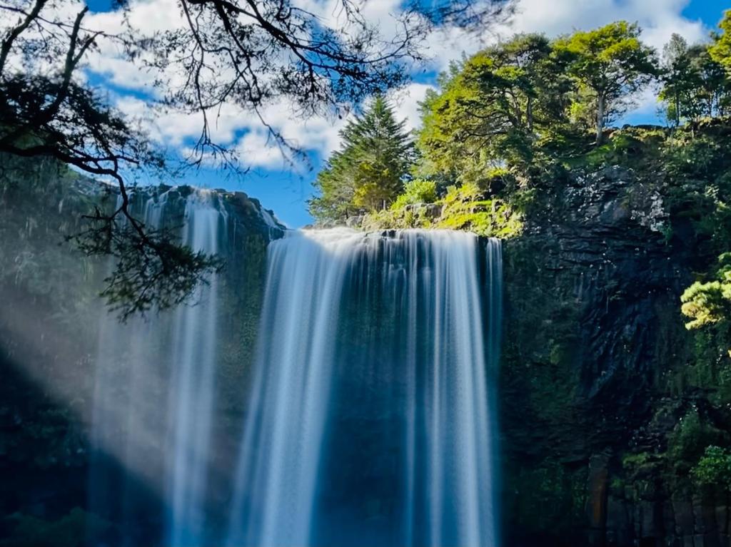 Kensington Motel - Resim 43