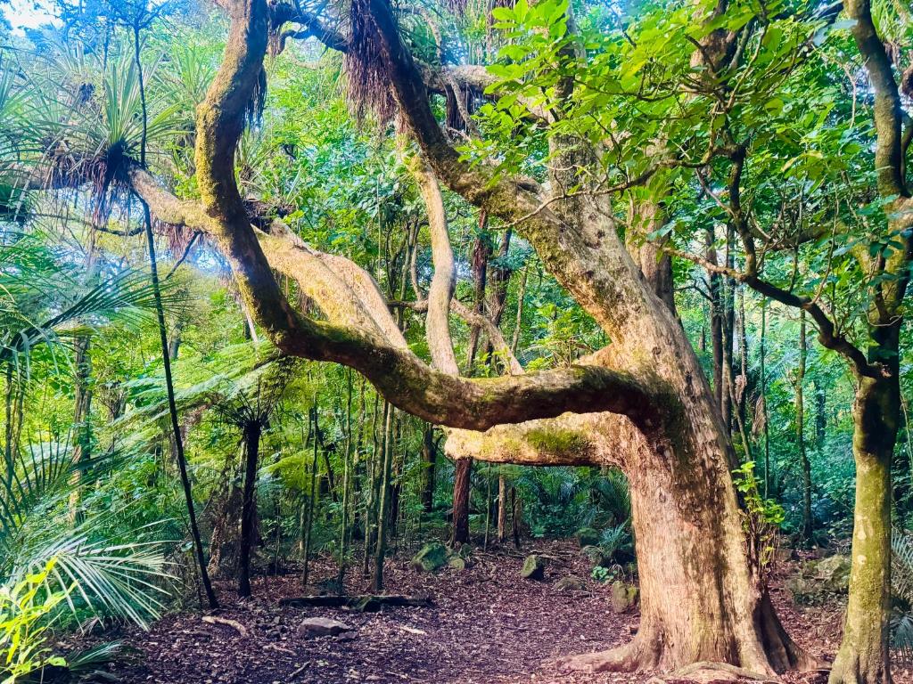 Kensington Motel - Resim 44