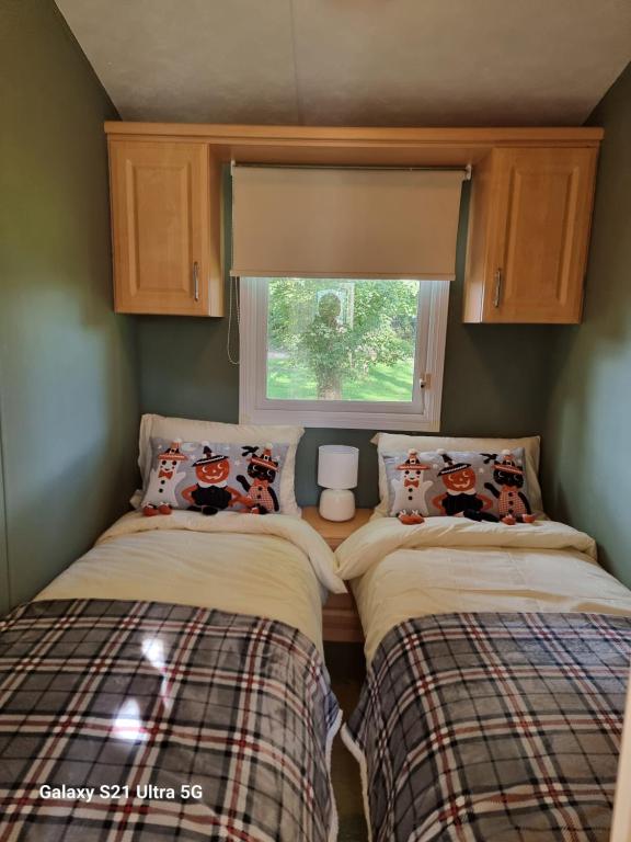 The Duck - Free Fishing, pets welcome - static caravan in Clare, Suffolk 2