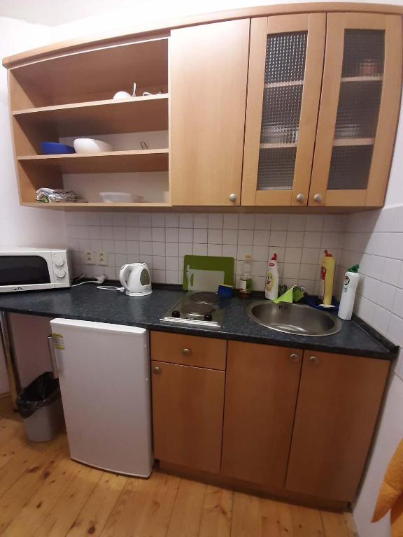 Kuchyň nebo kuchyňský kout v ubytování Apartmány Herry
