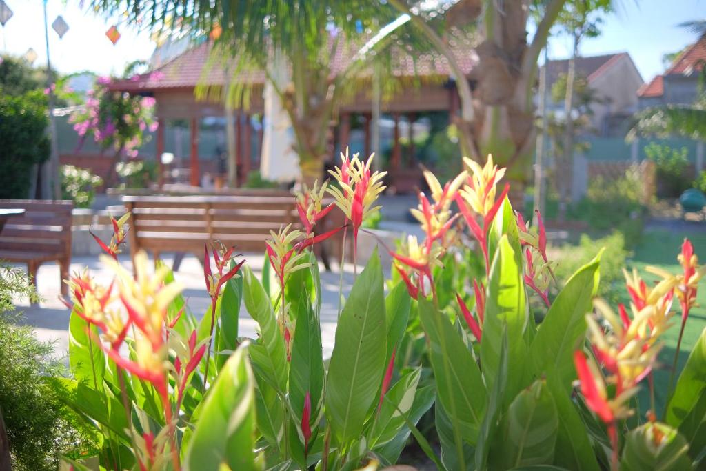 Zahrada ubytování Vườn Gióng Homestay