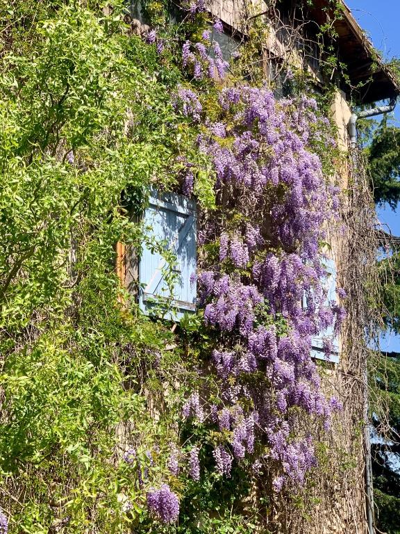 Zahrada ubytování Vercors en Vert , chambres d'hôtes de charme
