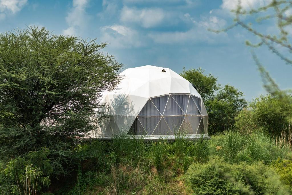 a large greenhouse in a field of grass at Teela- The Glamping Resort, Jaipur in Jaipur