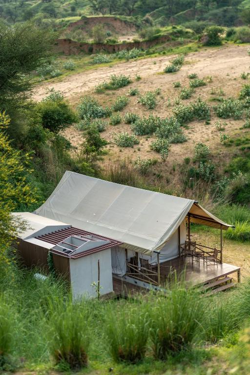 Teela- The Glamping Resort, Jaipur - Tent