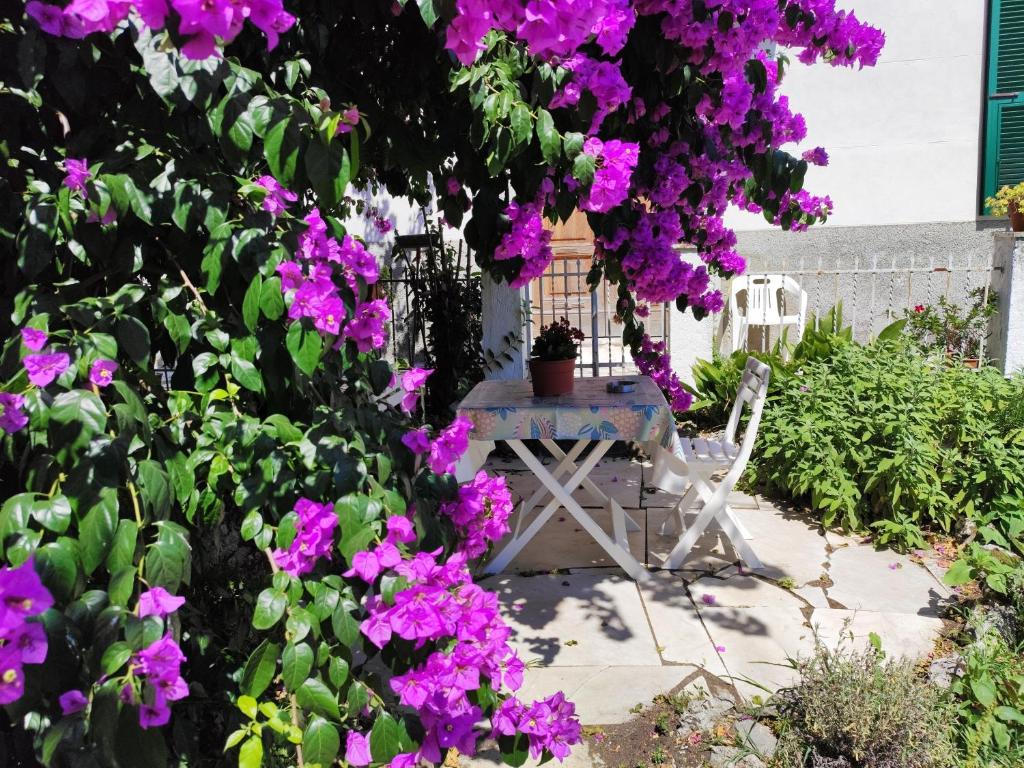 einen Picknicktisch in einem Garten mit lila Blumen in der Unterkunft Casa elegante in mezzo al verde in La Spezia