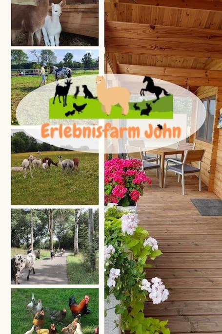 a collage of pictures of animals in a field at Ferienwohnung Erlebnisfarm John in Sayda