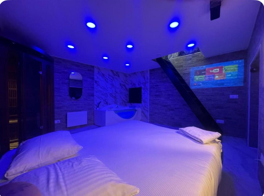 1 dormitorio con 1 cama grande con iluminación púrpura en Maison Appartement Triplex avec jacuzzi et sauna, en Saint-Étienne
