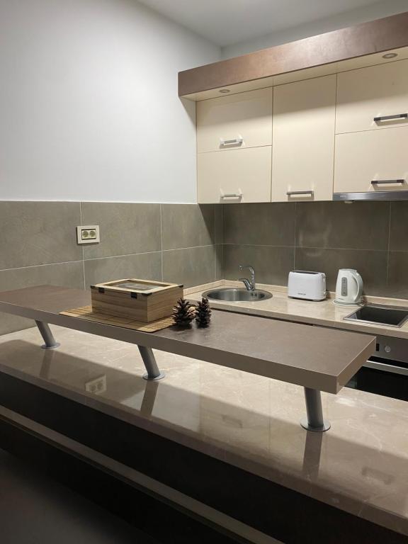 Kuchyň nebo kuchyňský kout v ubytování Apartman LUX STELLA