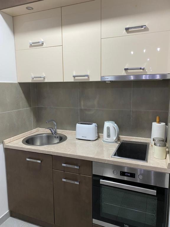 Kuchyň nebo kuchyňský kout v ubytování Apartman LUX STELLA