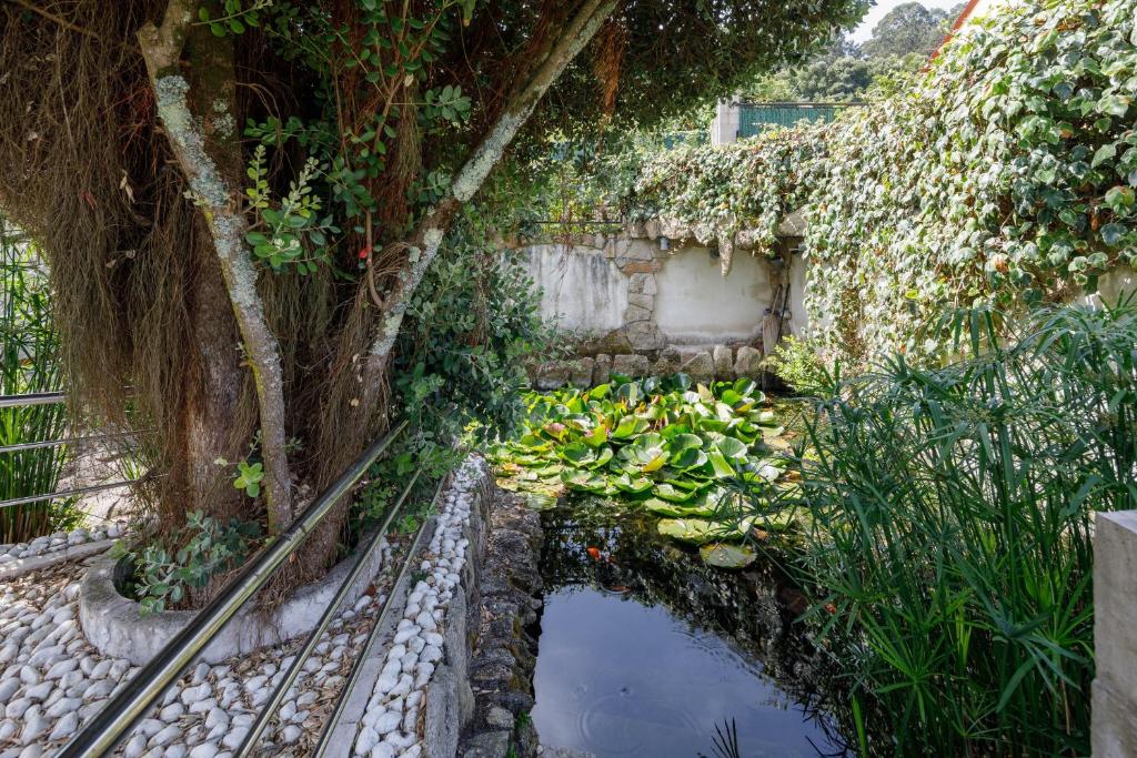 A garden outside Casa Nueva de Bueu