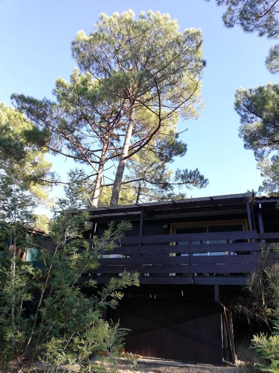 un bâtiment noir avec des arbres en arrière-plan dans l'établissement Chalet dans les pins, à Carcans