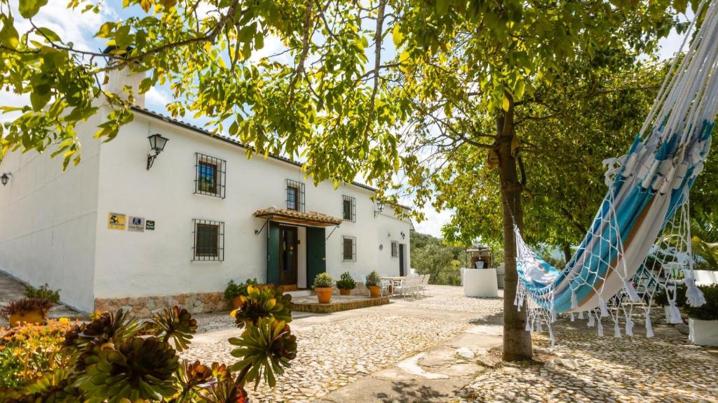 A garden outside Cortijo Entresierras