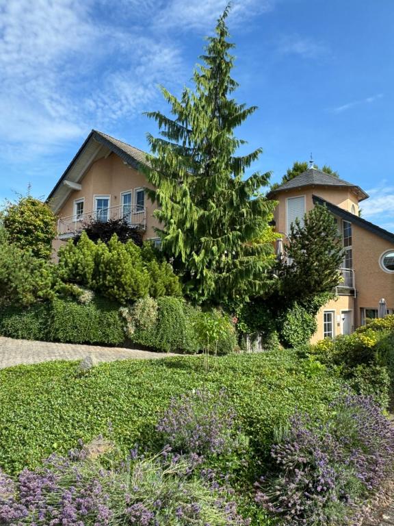 a house with a pine tree in front of it at Ferienwohnung Feiden Eifel-Mosel Lounge in Greimersburg