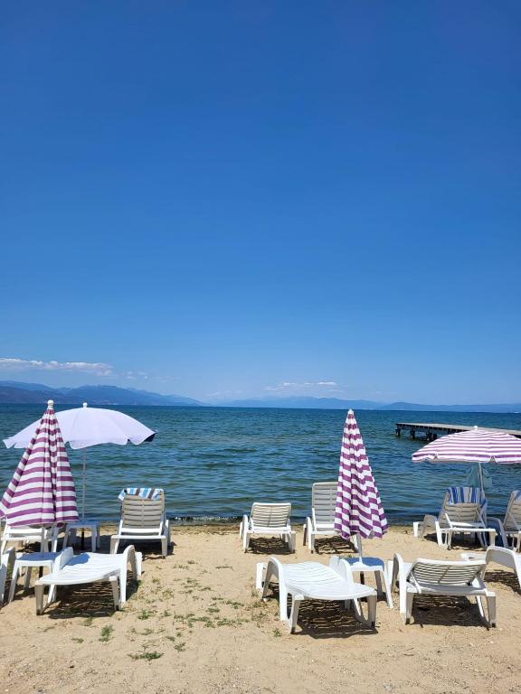 Příroda nedaleko apartmánu