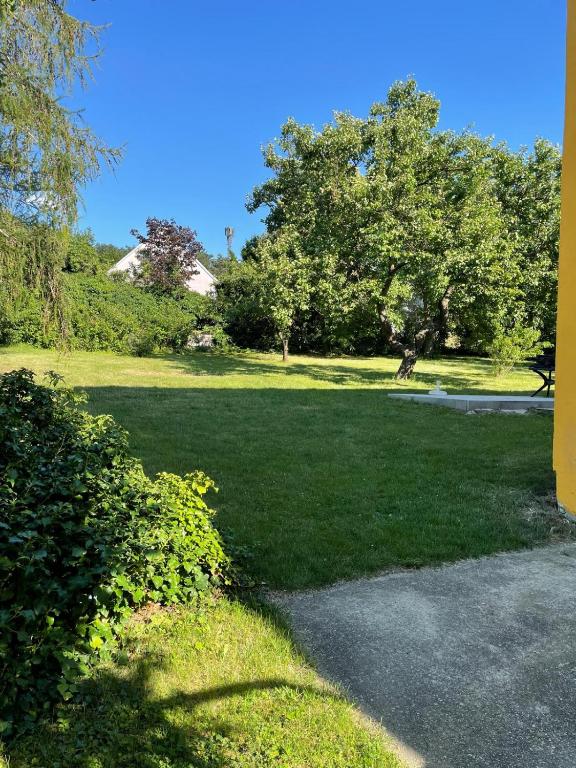a large field of grass with trees in the background at Hollabrunn-Rest-Relaxation-Garden contactless check-in in Hollabrunn