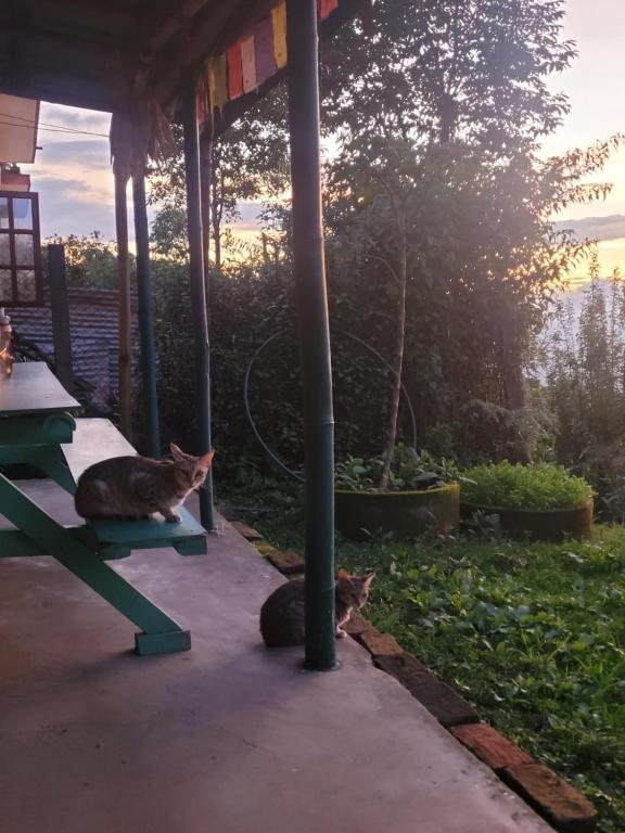 Zahrada ubytování Sisters homestay