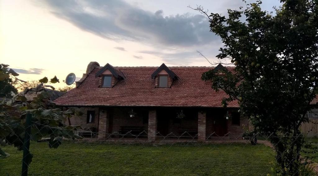 Zahrada ubytování Tamiški mir